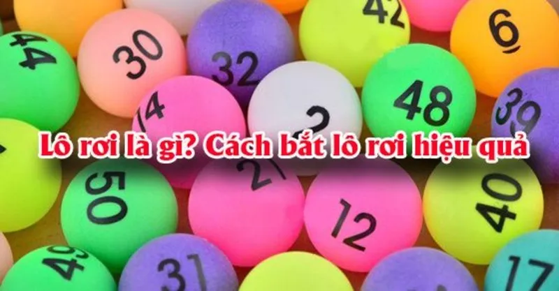 Cách đánh lô rơi Sunwin từ đề lộn