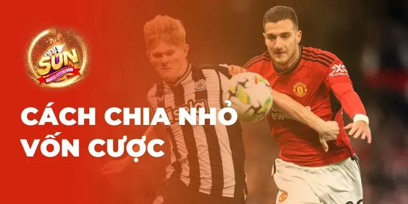 Phân loại các loại Kèo châu Á Sunwin hiện nay 